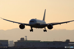 魅せられて・787