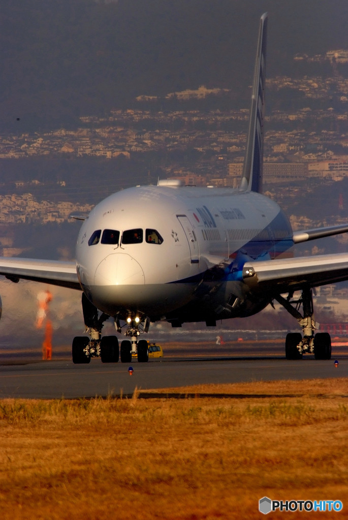 December light・Ⅱ