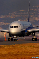 December light・Ⅱ