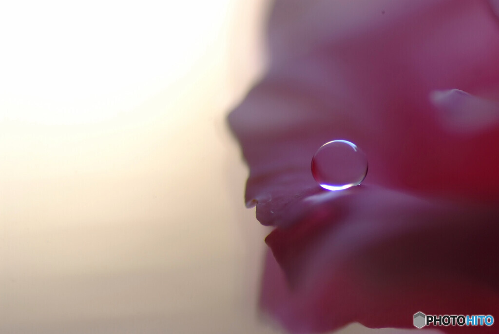 心静かに穏やかに✾雫