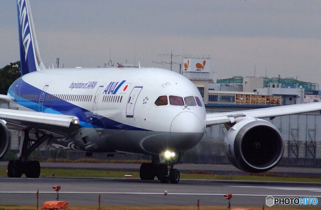 11月の翼✈Boeing 787-8 Dreamliner 