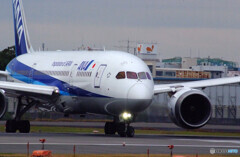 11月の翼✈Boeing 787-8 Dreamliner 