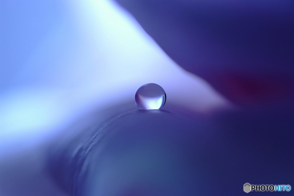 蒼いフォトグラフ