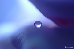 蒼いフォトグラフ