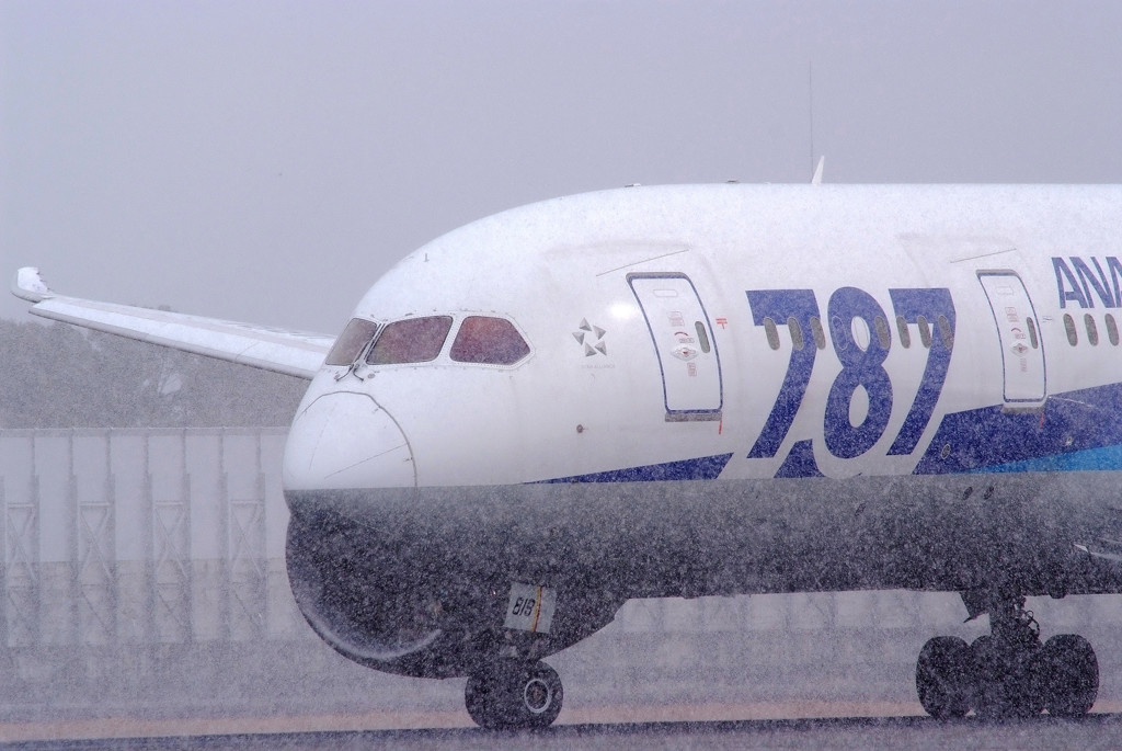 白銀の世界へ・787