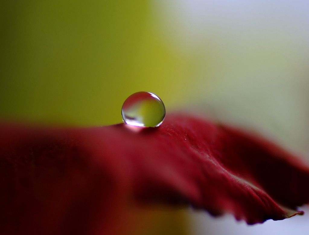 Color・雫