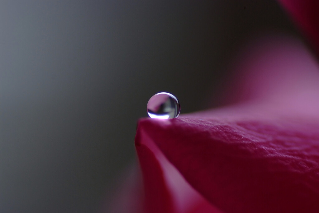 君の瞳に恋してる☂弥生