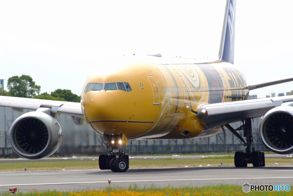 Morning Shot✈JA743A