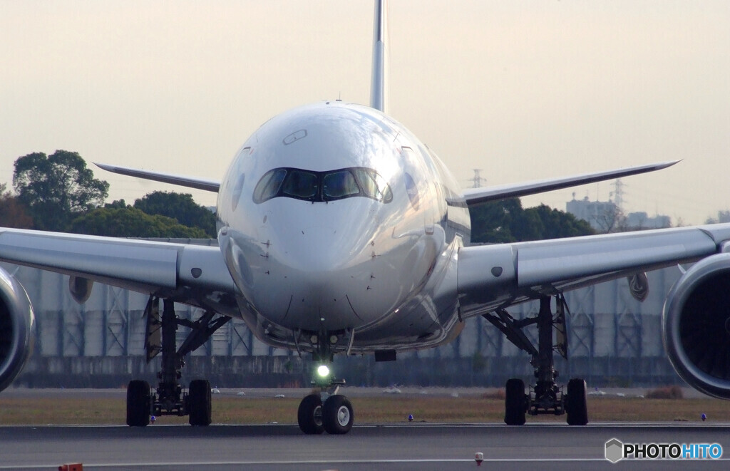 November MorningⅦ✈JA15XJ