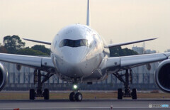 November MorningⅦ✈JA15XJ