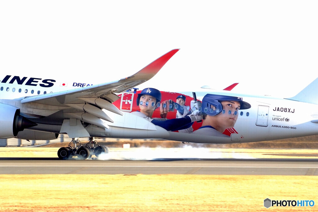 Dream Sho Jet Livery光臨！
