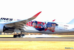 Dream Sho Jet Livery光臨！