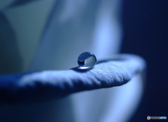 クリスマスキャロルが流れる頃には