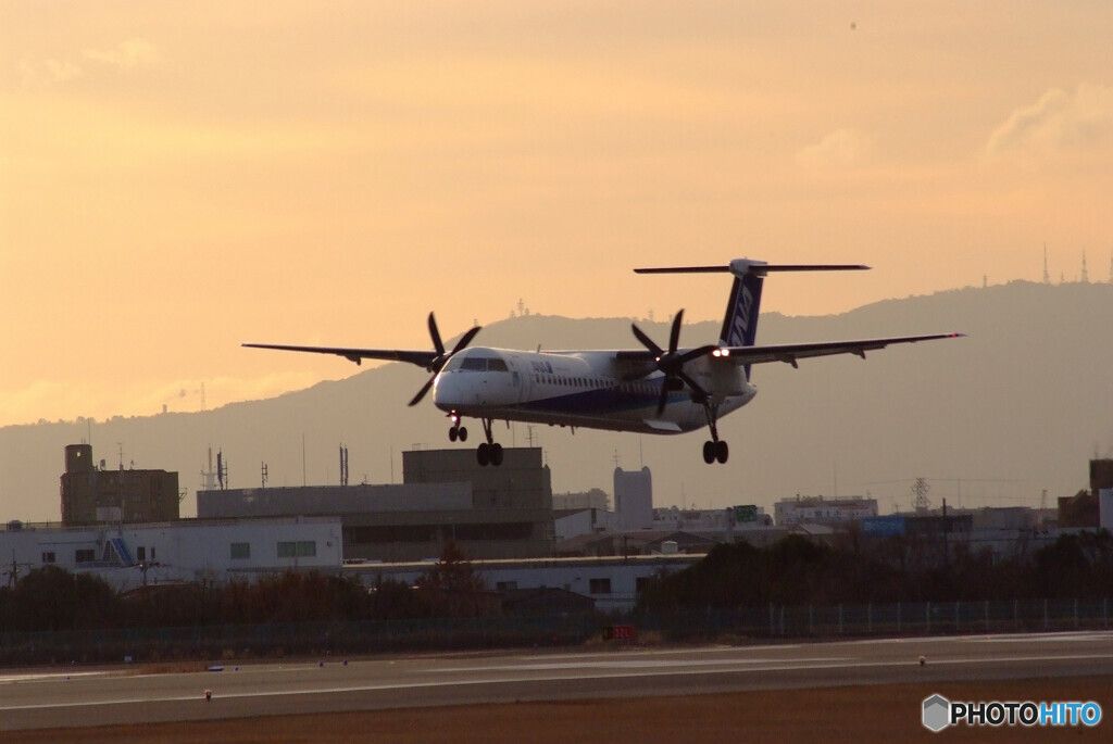 嘉月の朝✈ANA Wings 