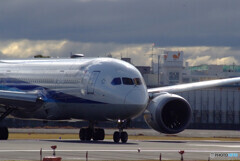 March morningⅥ✈Boeing 787-8 