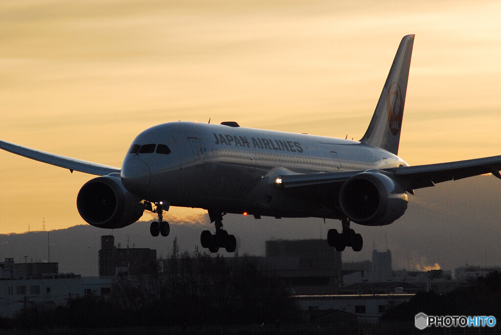 HARADAの空から✈Boeing 787-8