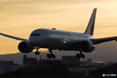 HARADAの空から✈Boeing 787-8