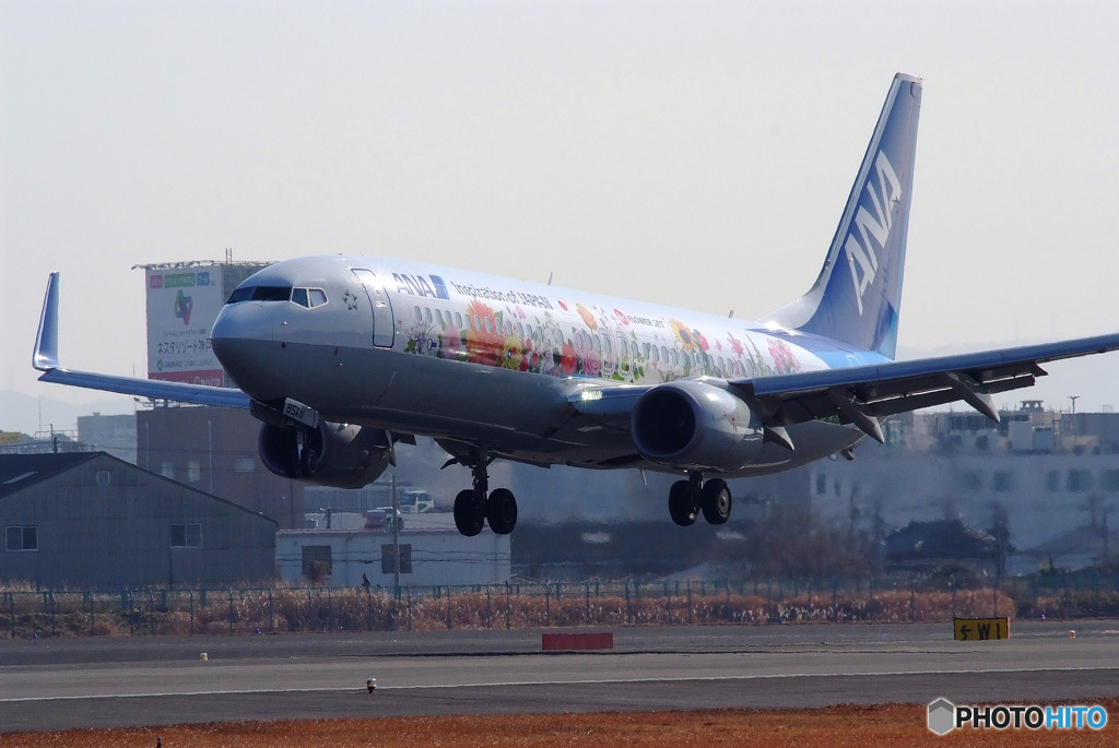 おかえり！Flower