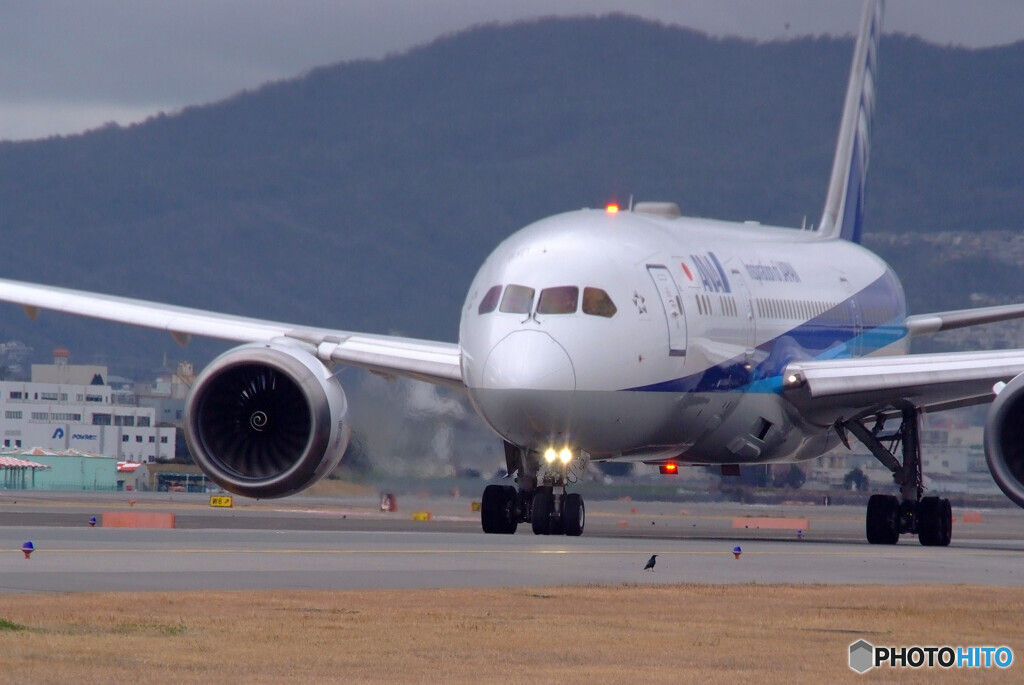 それぞれの旅路Ⅲ✈Boeing 787-8