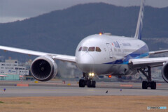 それぞれの旅路Ⅲ✈Boeing 787-8