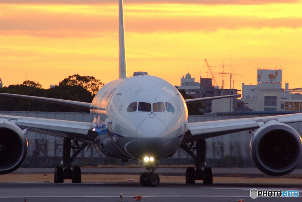 熱視線✈ANA 787-8