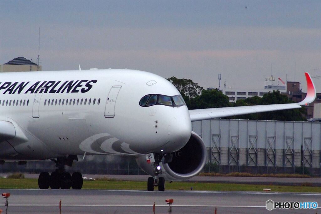 11月の翼✈JA16XJ