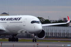 11月の翼✈JA16XJ