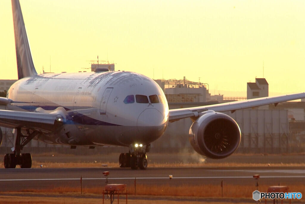 Natural LightⅡ✈Boeing787