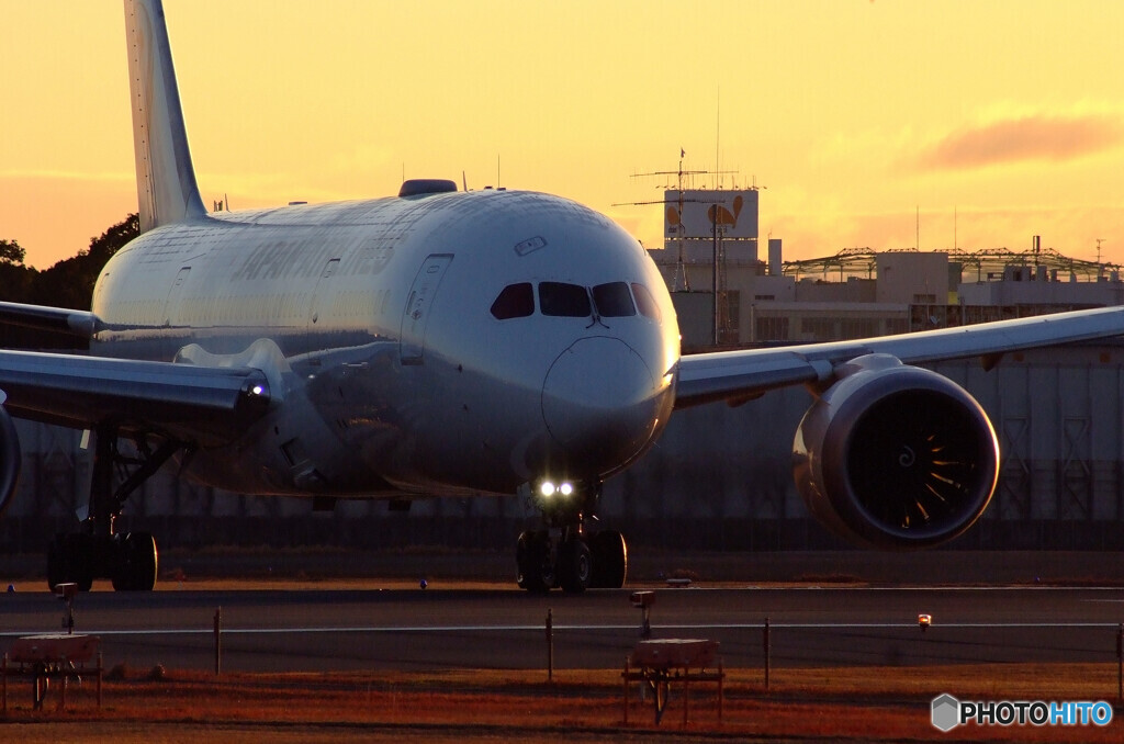 睦月の朝より✈Dreamliner