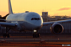 睦月の朝より✈Dreamliner