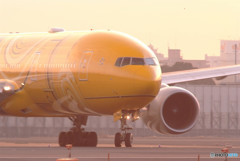 夢叶う！・C-3PO