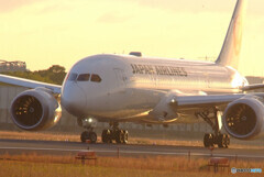 熱き心に✈JAL Dreamliner