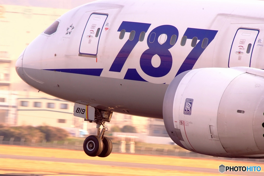 春の誘惑・Dreamliner