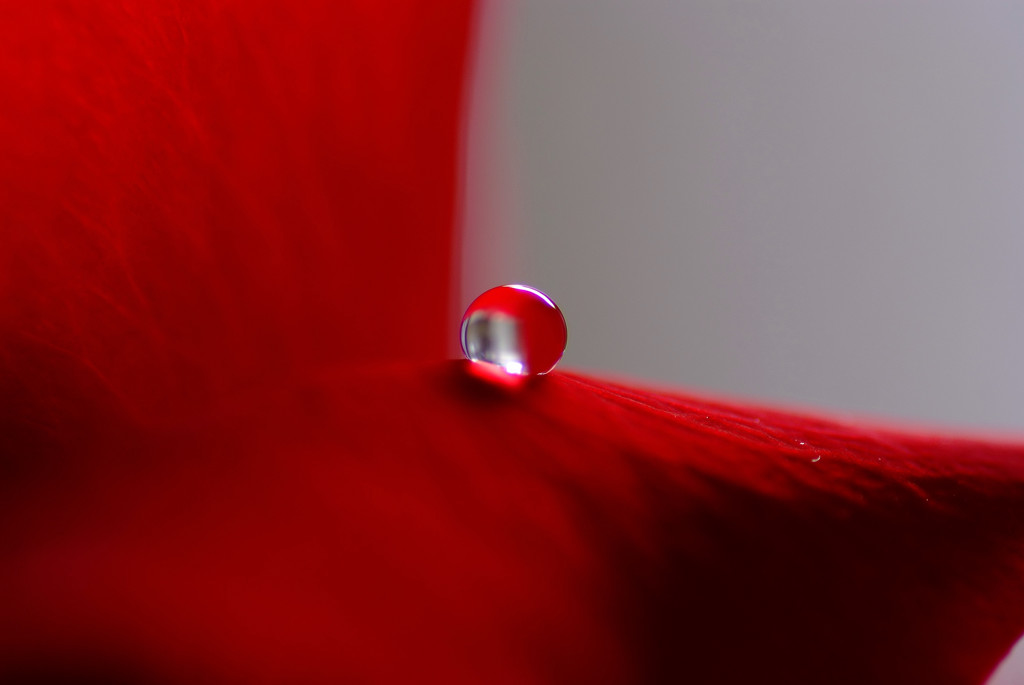 すべてLになる・雫