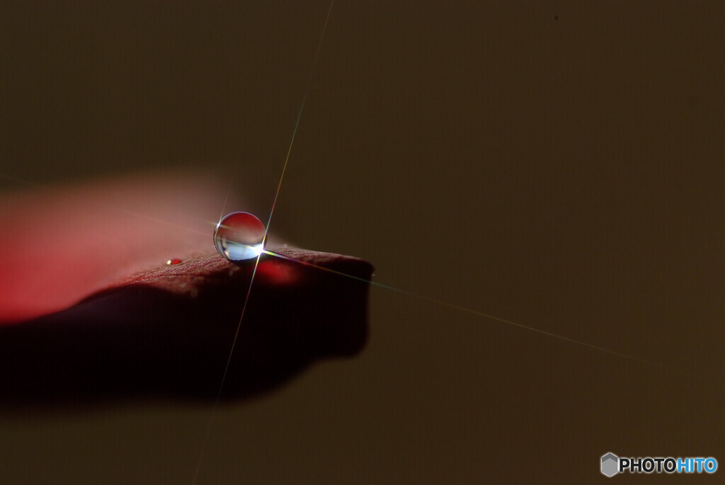 Symphony✾十字架