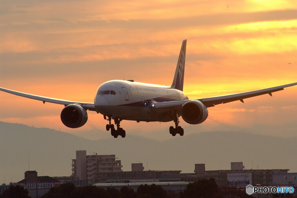 熱き心に✈787-8 Dreamliner 