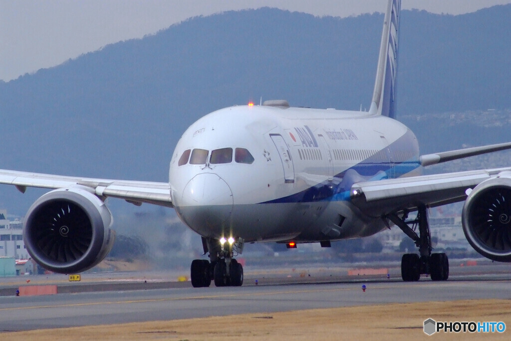 Nice Afternoon✈Dreamliner