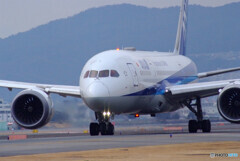 Nice Afternoon✈Dreamliner