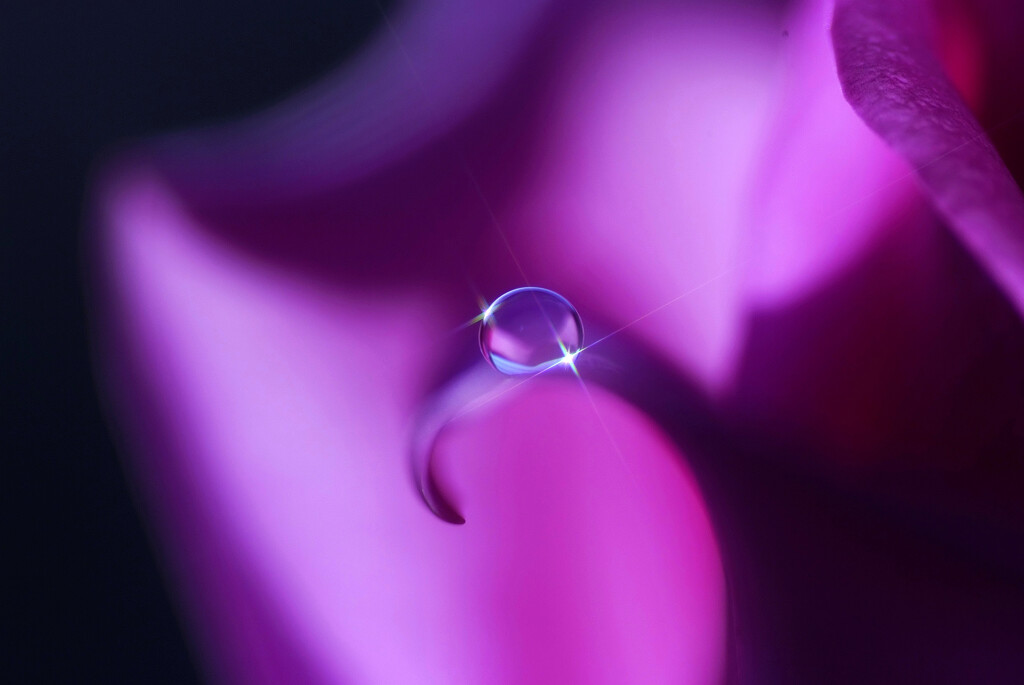 霞初月の朝✿和心