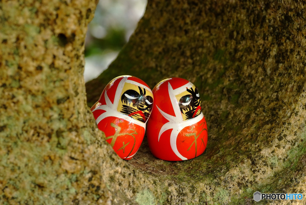 そうだ・勝尾寺に行こう！（Ⅱ）