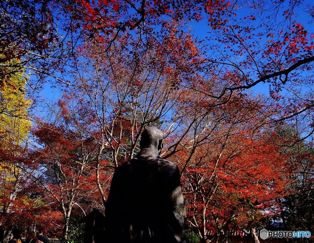 男の背中と紅葉