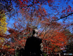 男の背中と紅葉