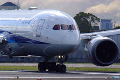 未来への翼・787