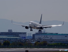 輝き・Boeing 737-800 