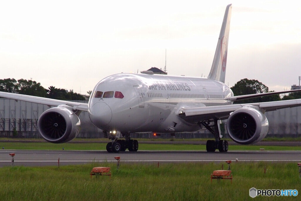 9月の空へ✈Dreamliner