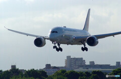 夏の旅人✈787-8 Dreamliner