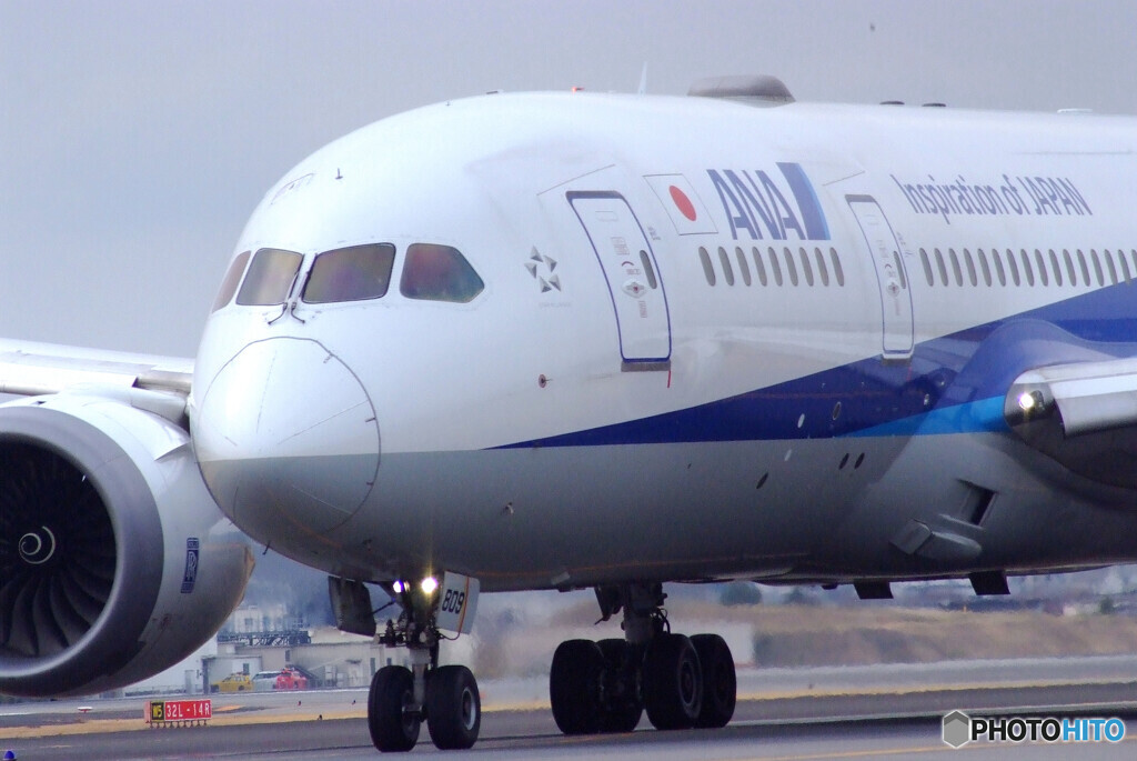 March Afternoon✈Dreamliner