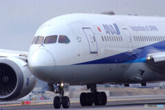 March Afternoon✈Dreamliner