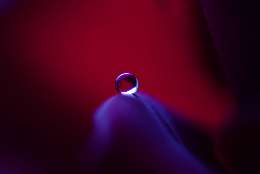 君の瞳に恋してる❁雫