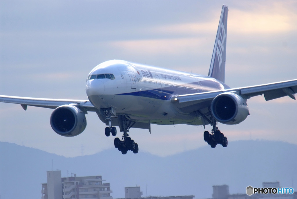 秋旅・飛行機に乗って
